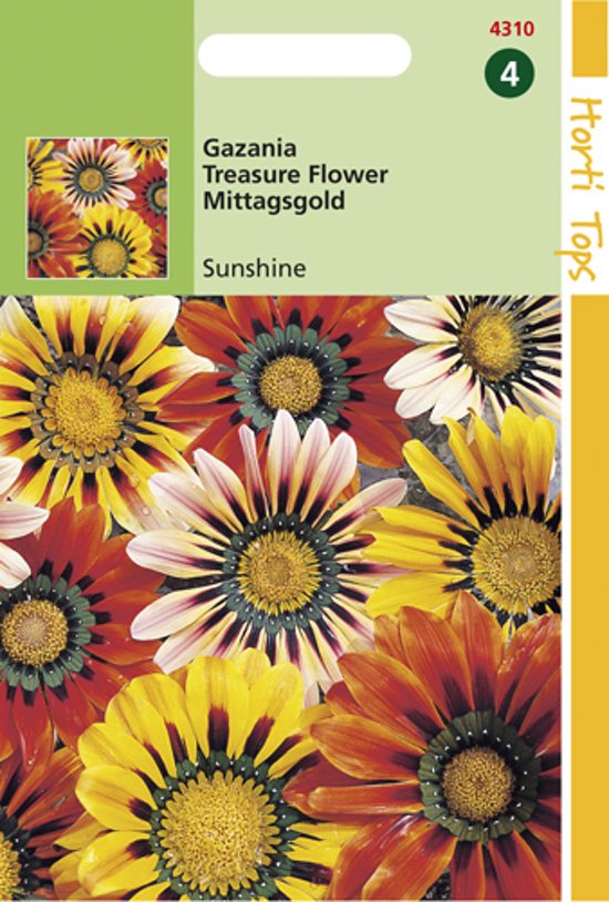 Treasure flower Sunshine (Gazania) 60 seeds